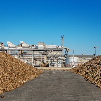 American Crystal Sugar Beet Processing Plants 