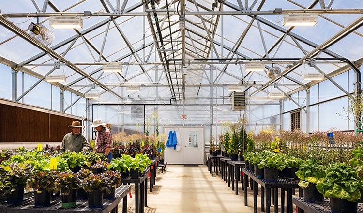 Sam Farr United States Crop Improvement and Protection Research Center Greenhouse