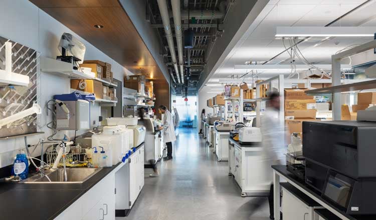 Interior view of an active lab in the Mayo Clinic Anna Maria and Stephen Kellen Building, showcasing lab equipment, abundant daylight, and open space views.