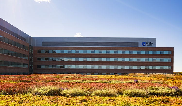 The New Valley Hospital Green Roof