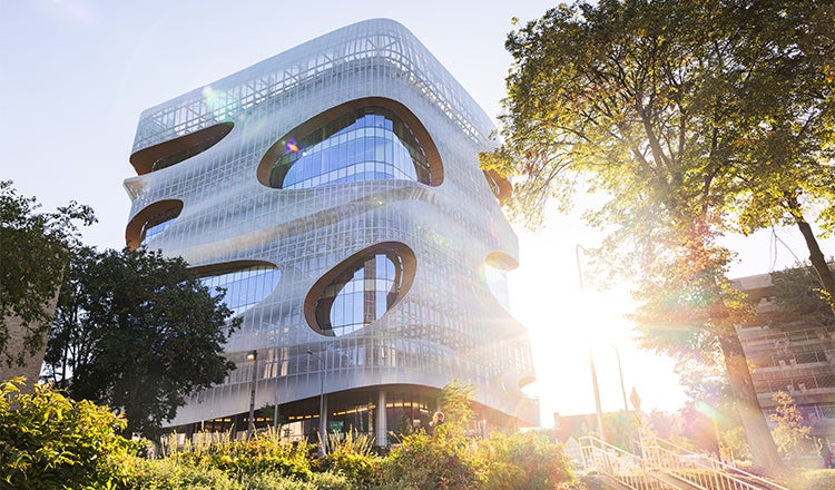 Mayo Clinic Kellen Building Exterior Sunshine through Trees from Park